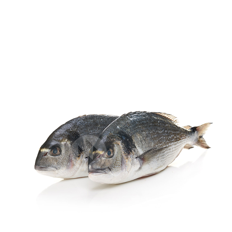 DORADA DE VIVERO (1-1,5 kg pieza)