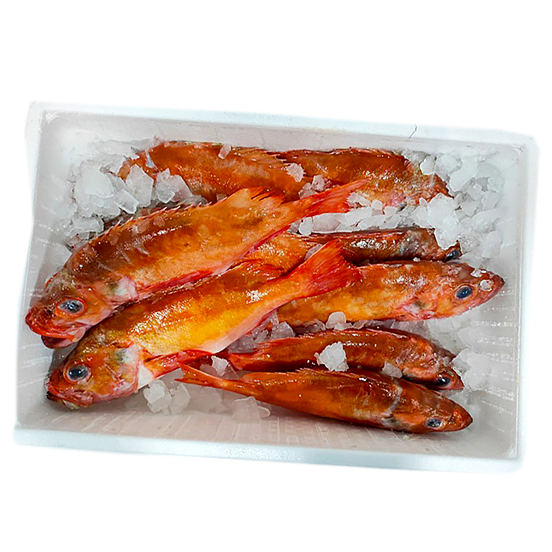 GALLINETA NÒRDICA (0,7-2 kg peça)