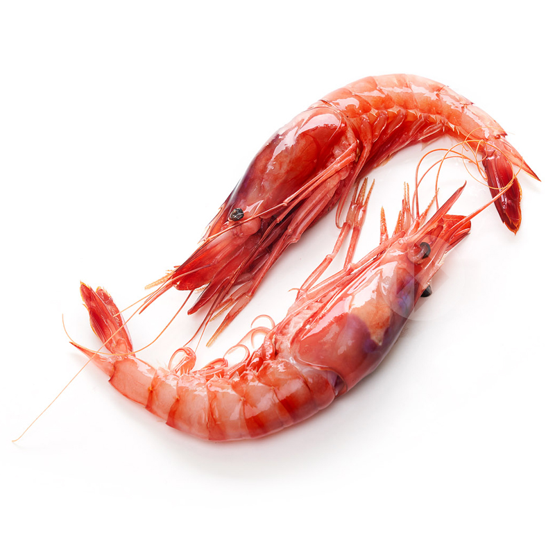 GAMBA MITJANA DEL MEDITERRANI 40-60 UN/KG