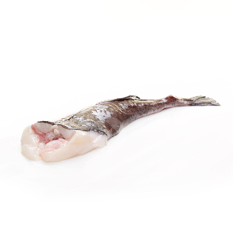 RAPE, COLA BLANCA (1-2 kg pieza)