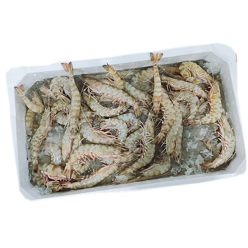 LANGOSTINO FRESCO DEL MEDITERRÁNEO/ADRIÁTICO 20/30 p/kg