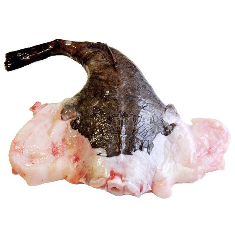 RAP, CUA ROSSA SENCER (2-3 kg peça)