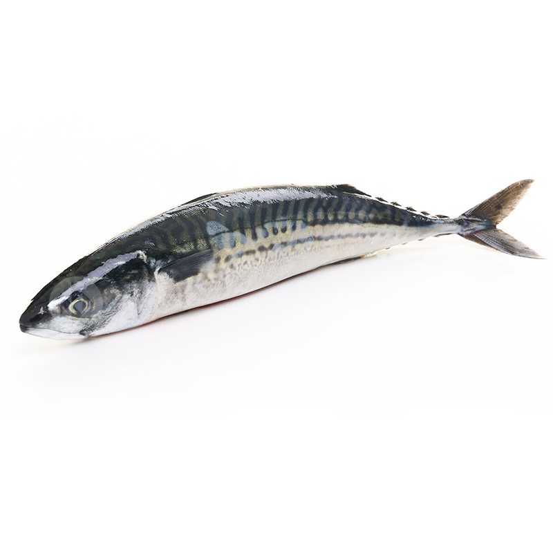 VERAT 2-4  u/kg. c/6kg.