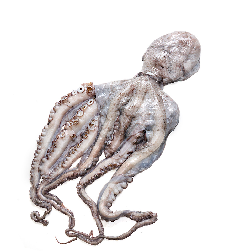 POP GRAN 2-3Kg Pieza 