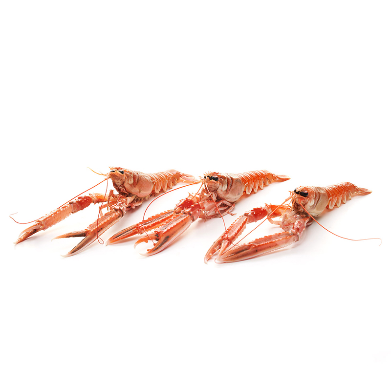 ESCAMARLÀ MITJÀ VIU 20-30 un/kg