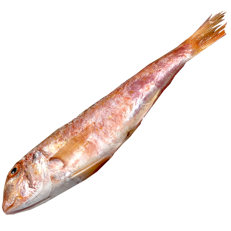 SALMONETE (8-12 piezas kilo)