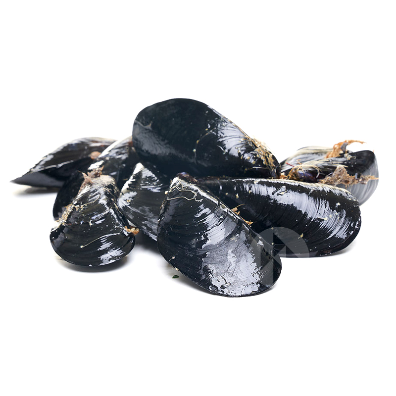 MEJILLÓN MEDIANO GALLEGO (50-60 p/kg) ca/5Kg aprox.
