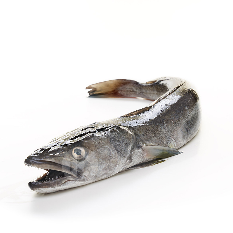 MERLUZA PALANGRE 2-2,9 Kg/u ESCATADA