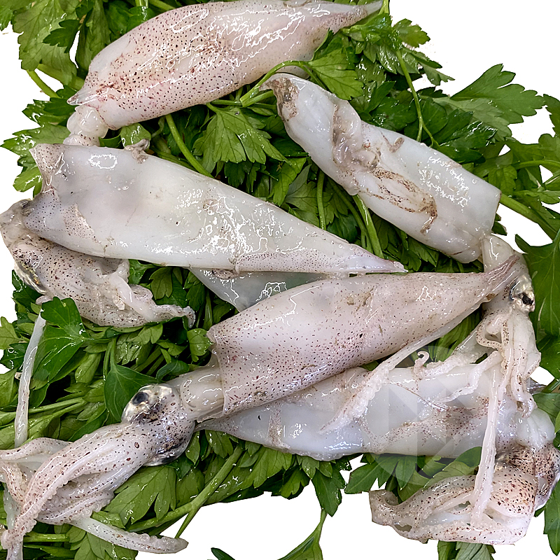 CALAMAR XIPIRÓ MEDITERRANI  90-120 p/kg Aprox.
