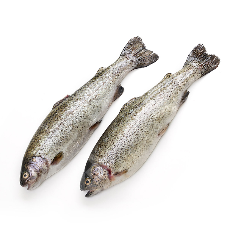 TRUCHA ASALMONADA (270-375 gr/pieza) 8-11 un/ca ca/3kg