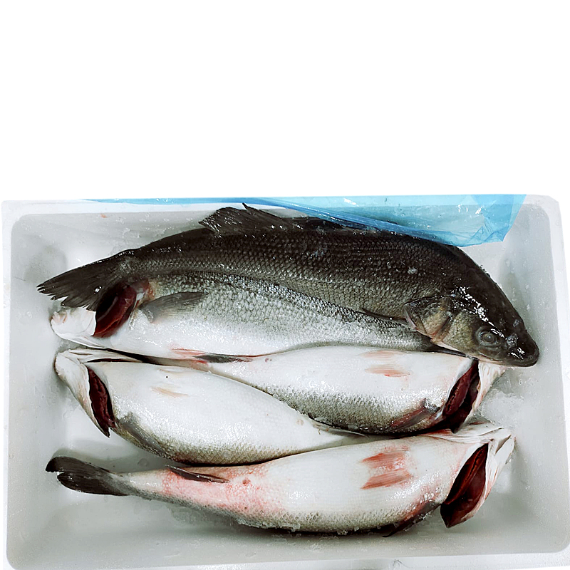 LUBINA DE VIVERO ENTERA 2 a 2,5 kg