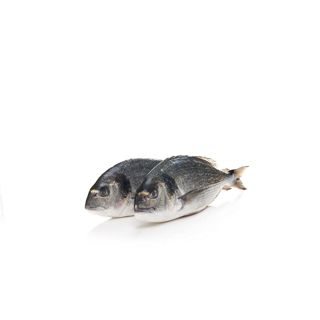 DORADA DE VIVERO (200-300 gr pieza) 19-23 piezas 6kg/ca