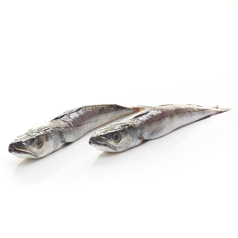 PESCADILLA DEL NORTE (4-6 piezas kilo)