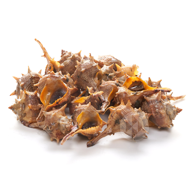 CARGOL DEL MEDITERRANI (CAÑAILLA DE COSTA) 60-80p/Kg Caixa 2 kg.