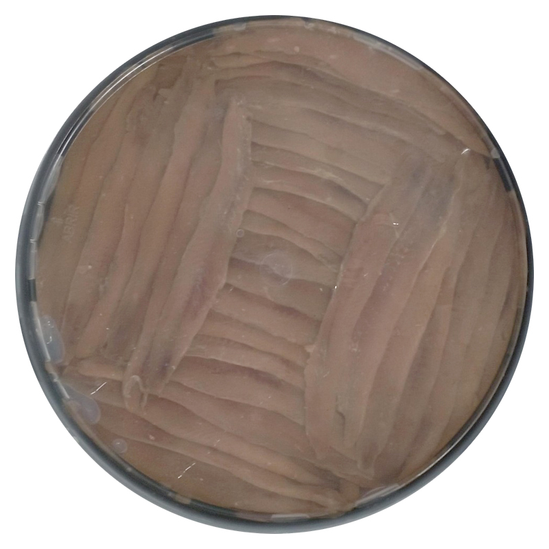 ANCHOA FIL. EN ACEITE '0' 500 gr Escurrido (CESMAR)