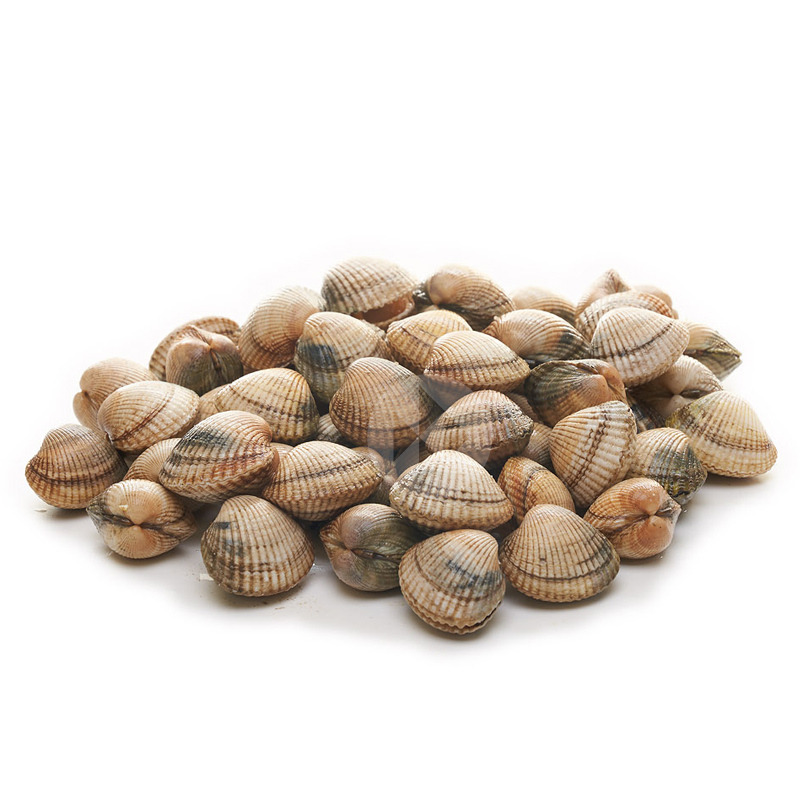BERBERECHOS MED. (120-150p/kg) 1kg aprox.
