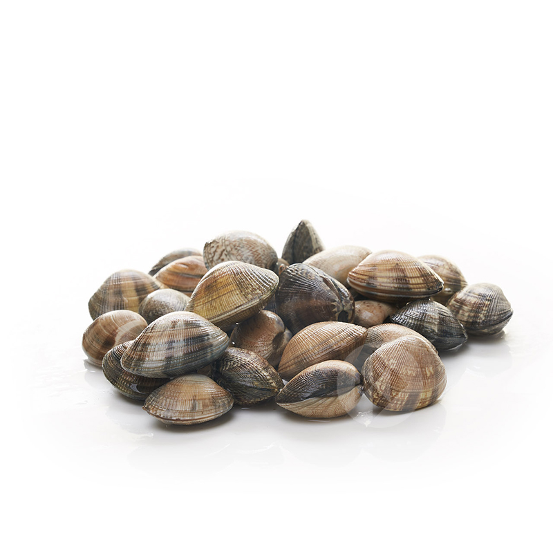 ALMEJA GALLEGA MEDIANA (51-60/kg) ca/1kg aprox.