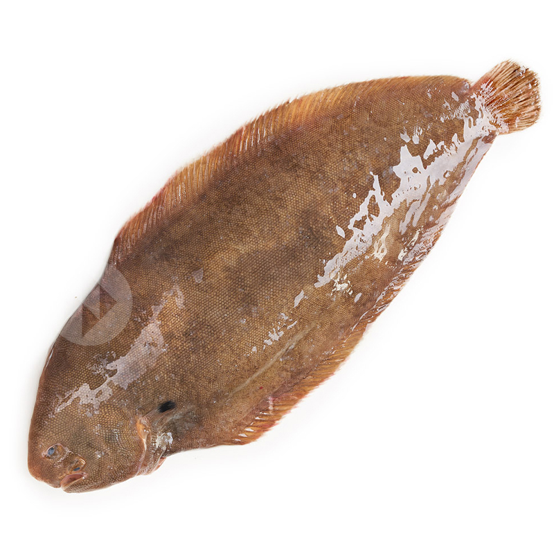 LENGUADO PEQ. OC. ATLÁNTICO (180-220 g) CA/3kg