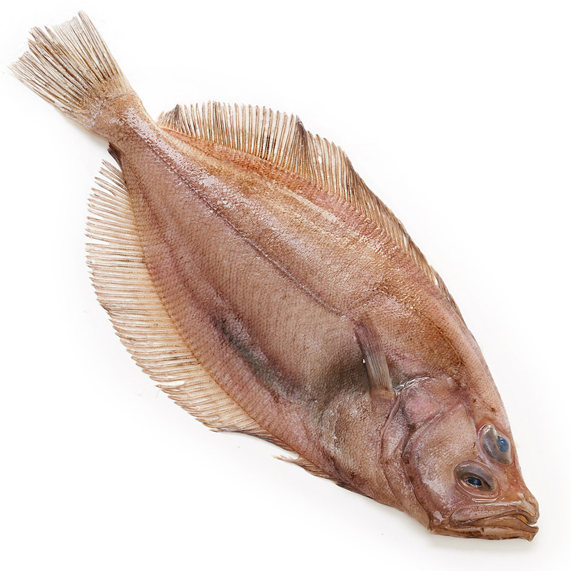 BRUIXA GRAN 500-700 g/u SENSE CAP