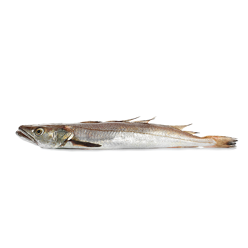 LLUÇET DE BOU PEQUEÑO DEL MEDITERRÁNEO (8-12 piezas kg)