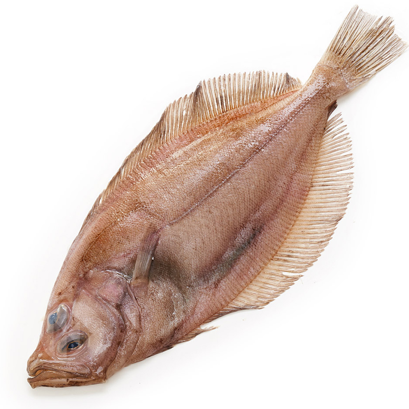 GALLO RACIÓN (300-500 gr/un) 3kg/ca