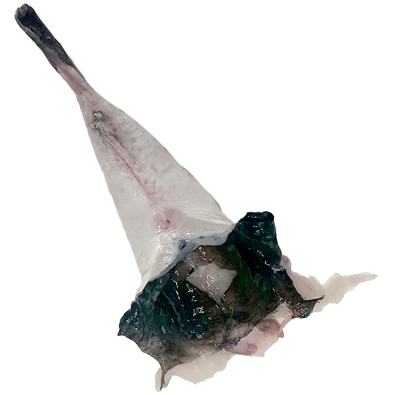 RAP CUA 200-300g (17-22 u/ca) CAIXA 5Kg aprox