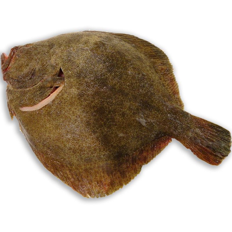 RODABALLO SALVAJE RACIÓN (300-500 g pieza)