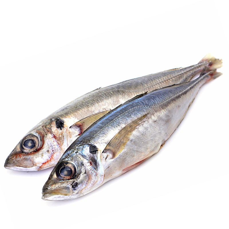 SORELL DEL MEDITERRANI 6-8 u/kg. (3k/CA)