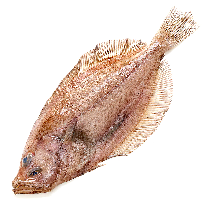 GALLO GRANDE (500-700 g pieza)