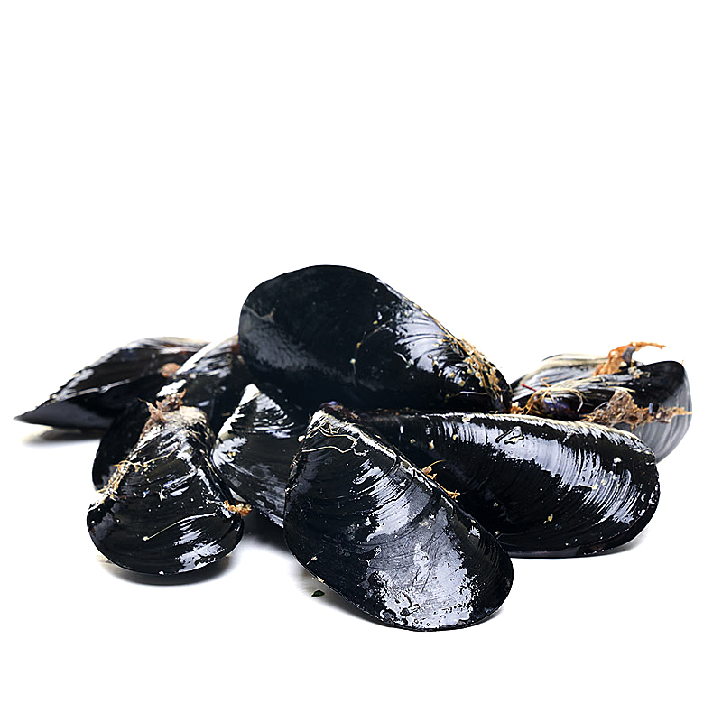 MEJILLÓN LACASITO MALLA 1 Kg APROX (60-80pz/kg)
