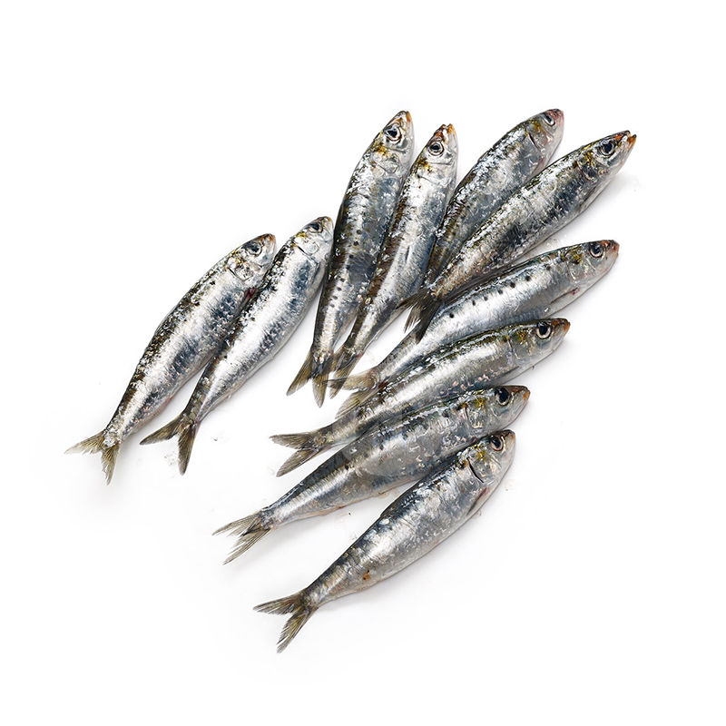 SARDINA PEQUEÑA (30-50 piezas kilo)