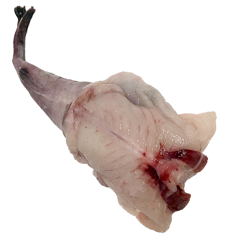 RAPE, COLITA RACIÓN (300-400 g pieza)