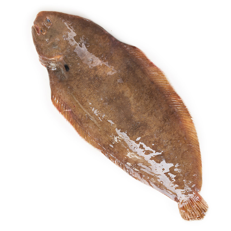 LLENGUADO DE VIVER (400-600 g peça)