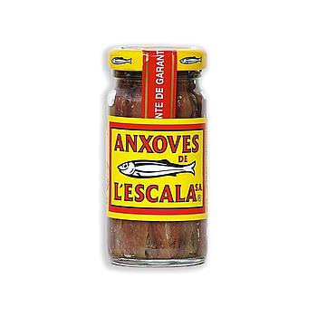 ANXOA FIL. OLI D'OLIVA 15/(cristal 100g) (ANX.ESC)