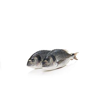 DORADA DE VIVERO (200-300 g pieza)