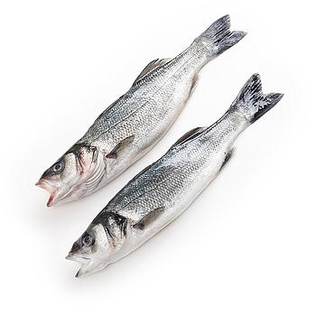 LLOBARRO DE VIVER (400-600 g peça)