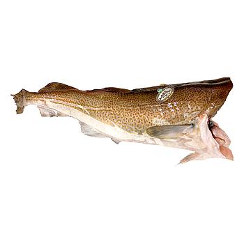 BACALAO SKREI S/CABEZA 2-4 KG/UN