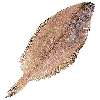 LENGUADINA GRANDE (200-400 g pieza)