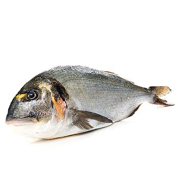 DORADA SALVAJE 1-2 Kg./ud 